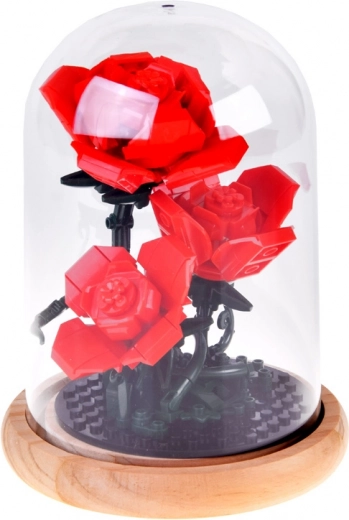 Stable dome with wooden base