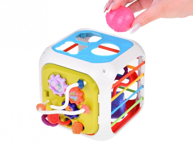 Interactive Shape Sorter and Xylophone Play Cube