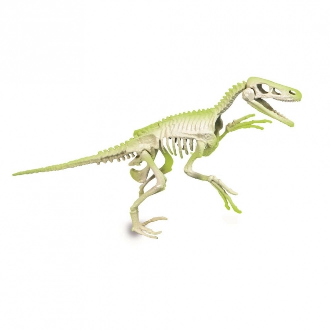 Clementoni Science & Play ArcheoFun: Velociraptor