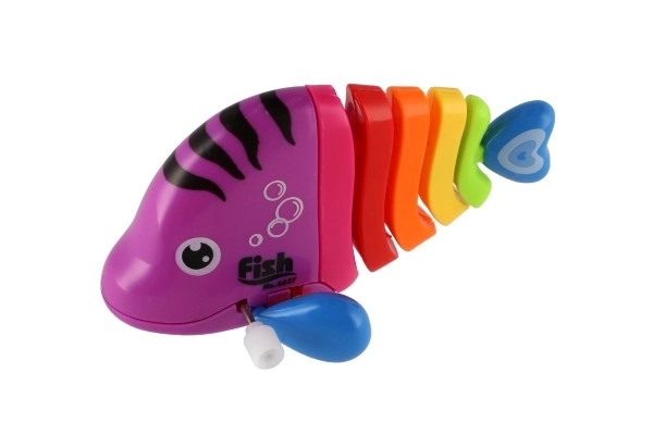 Colorful Wind-up Plastic Fish Toy