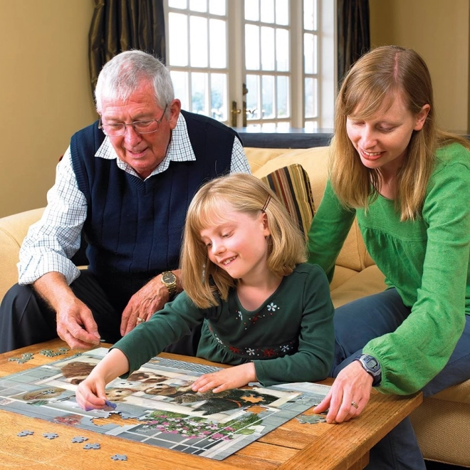 Family Puzzle Friends on the Porch