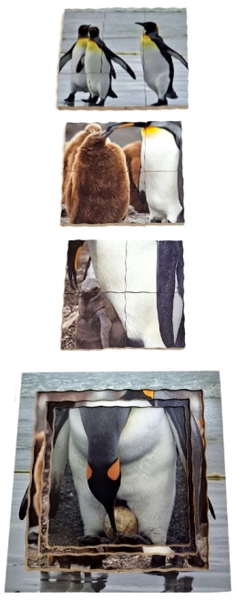 Penguin Life Cycle Wooden Layered Puzzle