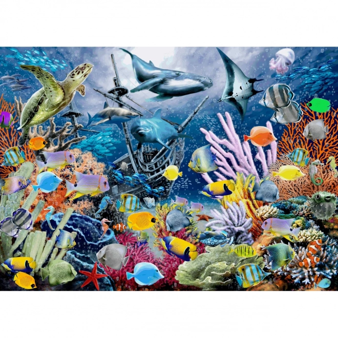 Colorful Ocean Jigsaw Puzzle 1000 Pieces