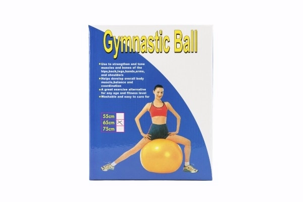 Gymnastic Ball for Rehabilitation and Relaxation