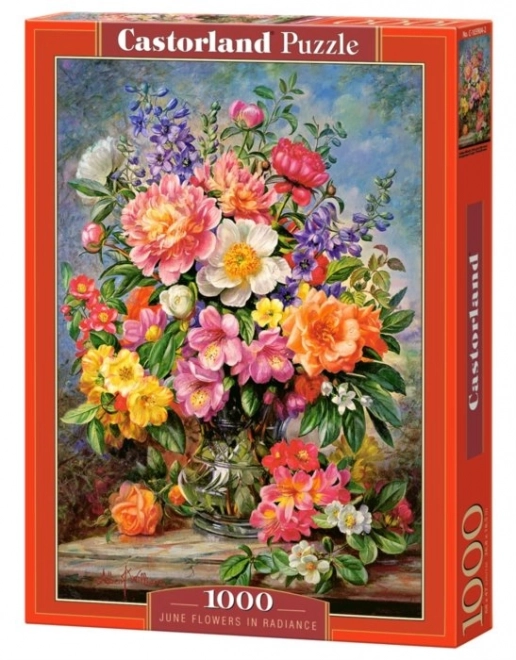 Castorland Puzzle June Flowers 1000 Pieces