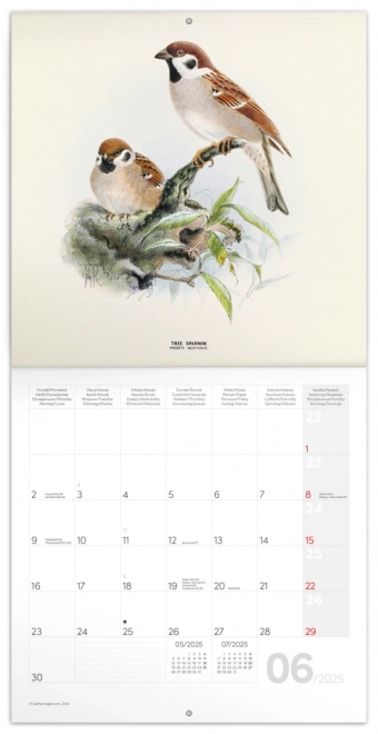 Notique Bird Desk Calendar 2025