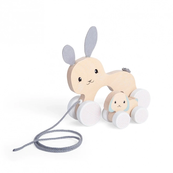 Pull Along Bunny with Baby by Bigjigs Toys