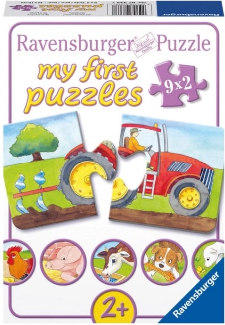 First puzzles for children from 2 years