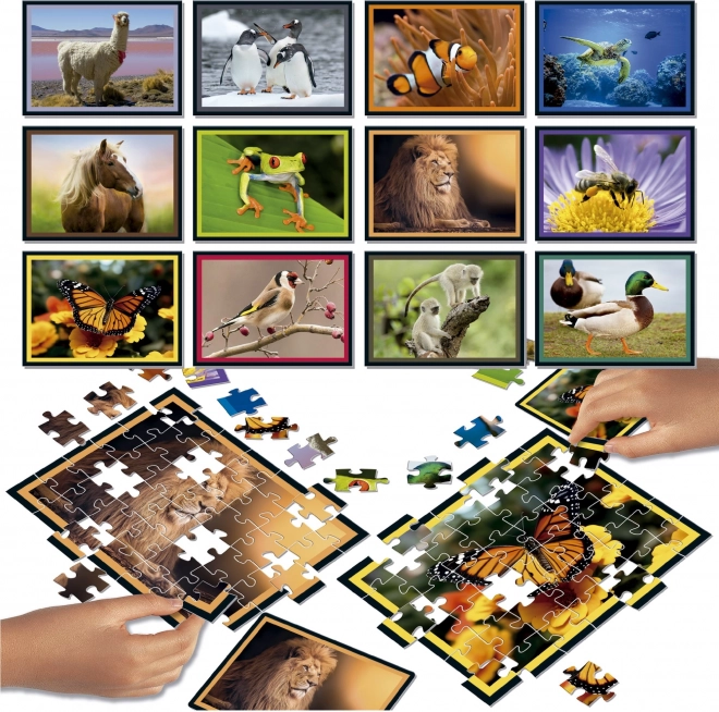 Educa Nature Puzzle Battle 12x42 Pieces