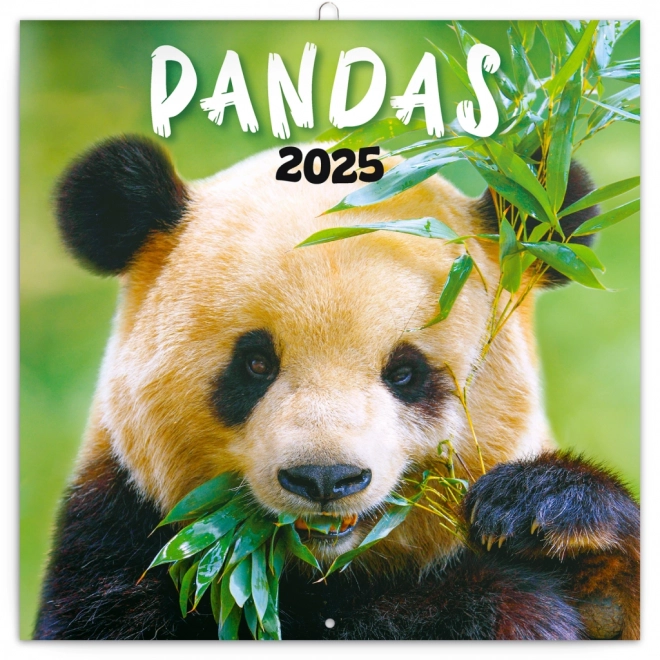 Notique Panda Wall Calendar 2025