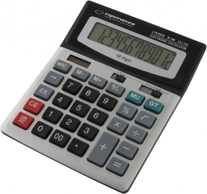 Desk Calculator Euler