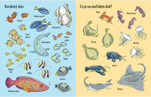 Matrica könyv A víz alatt