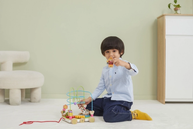 Wooden Pull-Along Maze Toy