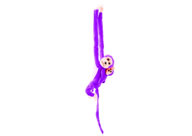 Interactive Toy