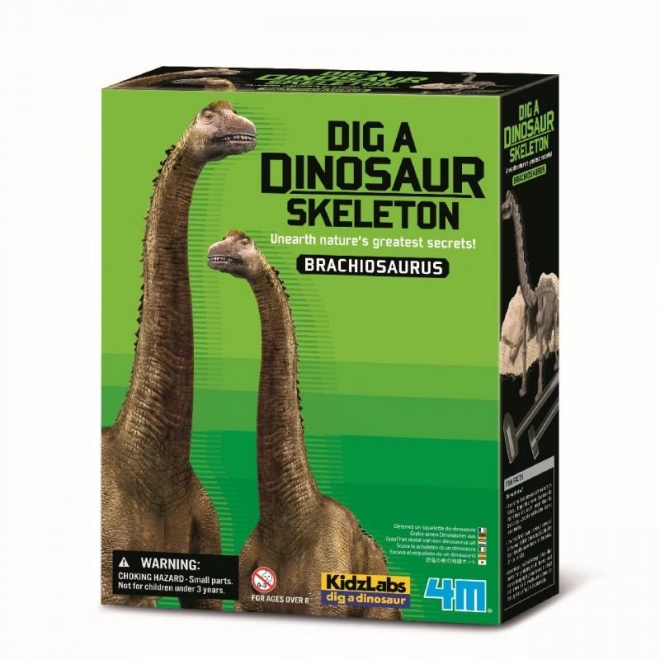 4M Dinosaur Skeleton Excavation Set - Brachiosaurus