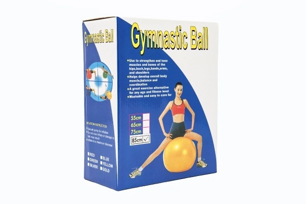 Rehabilitative Relaxation Gym Ball