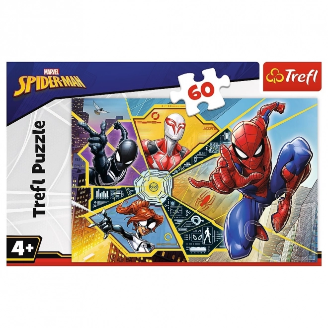 Spiderman Puzzle: On the Web