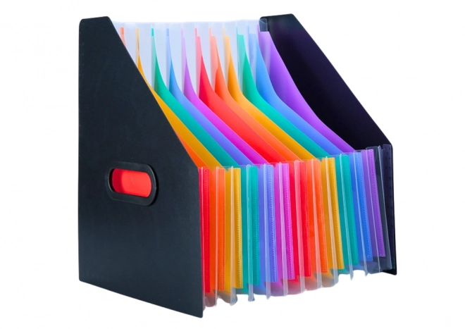 Vertical folder organizer for documents with colorful tabs black A4