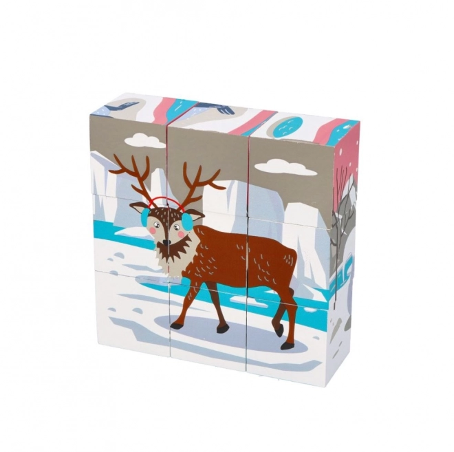 Animal Arctic Cube Puzzle