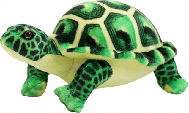 Giocattolo Tartaruga di Peluche Verde 25cm