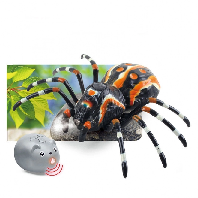 Remote Control Black Tarantula Spider