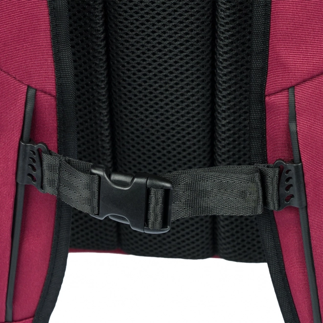 Baagl Ergonomic Backpack in Burgundy