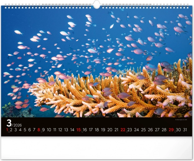 Élettel teli március