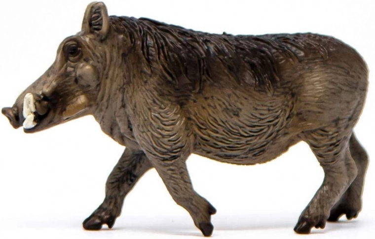 Great for learning and collections