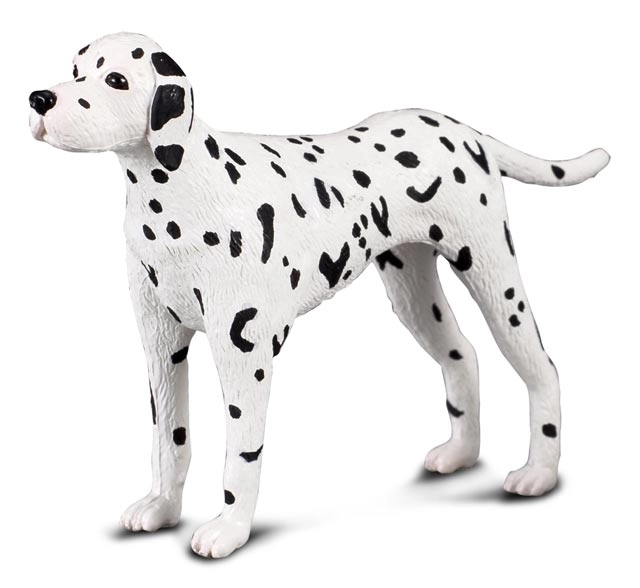 CollectA Dalmatian Figure