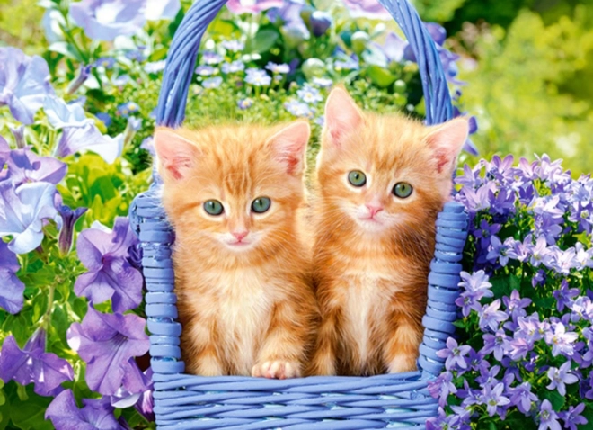 Ginger Kittens Puzzle for Kids