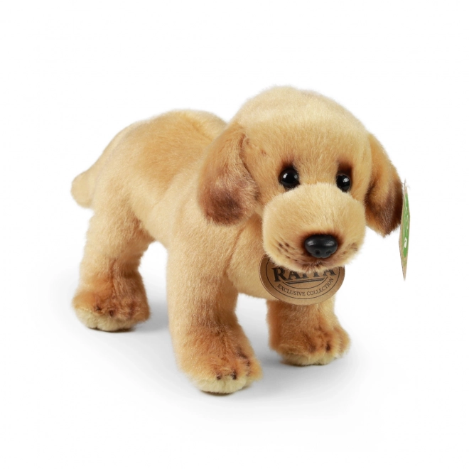 Eco-friendly standing plush labrador 20 cm