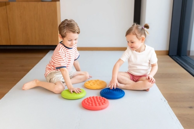 Sensory Discs 4 Pieces of Different Textures