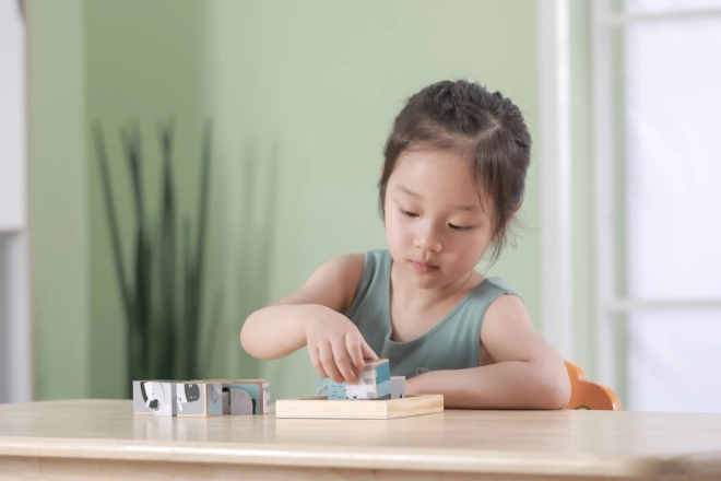 Wooden Animal Puzzle Blocks