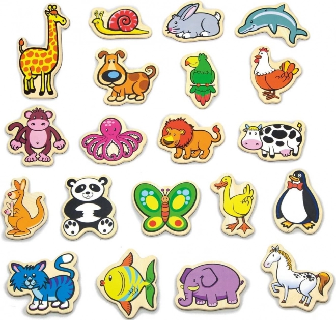 Animal Wooden Magnets Set