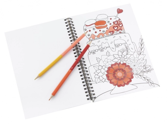 Paint by Numbers Coloring Set