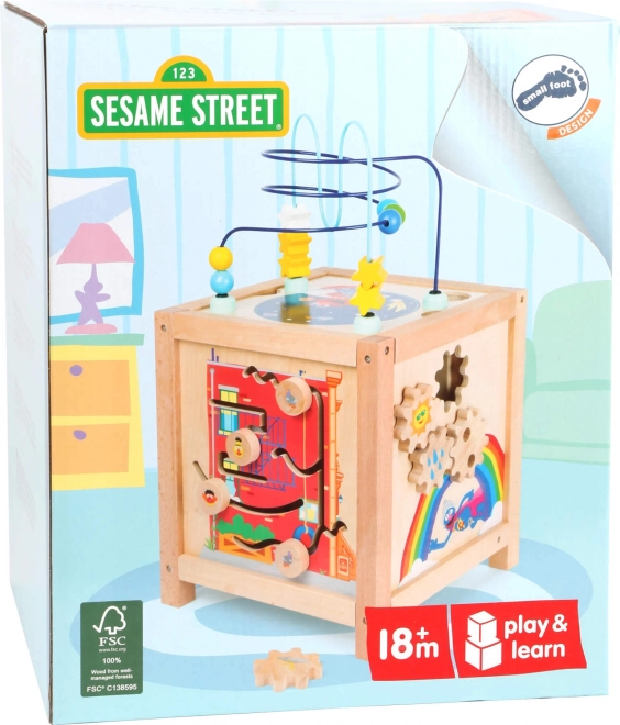 Small Foot Motor Skills Cube 'Open Sesame!'