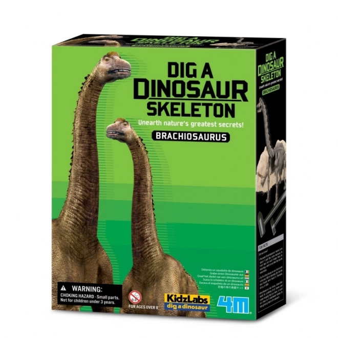 Dinosaur Excavation Kit - Brachiosaurus