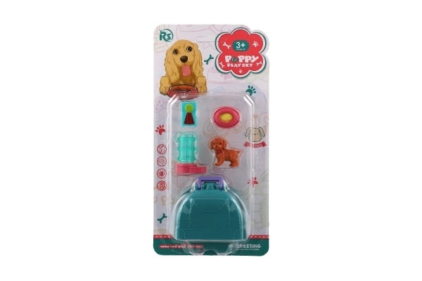 Pet Dog With Portable Plastic Box And Accessories