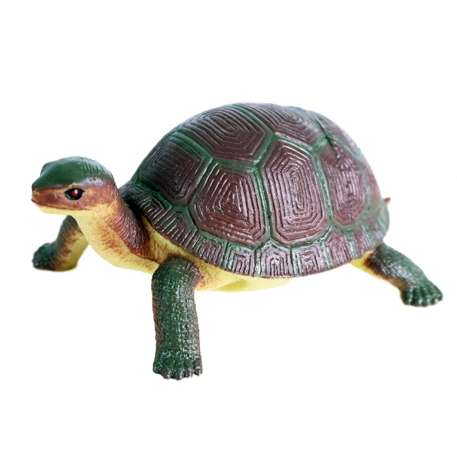 Plastic Turtle Toy