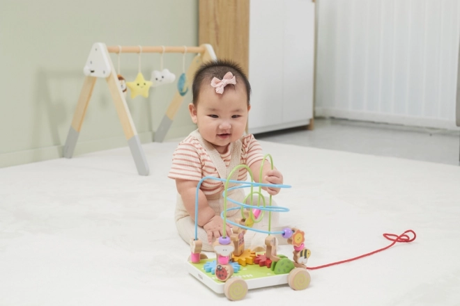 Wooden Pull-Along Maze Toy