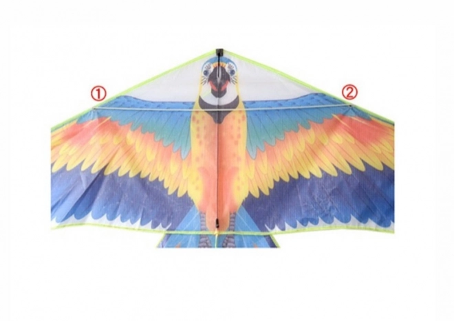 Large Colorful Parrot Kite with Long Tail