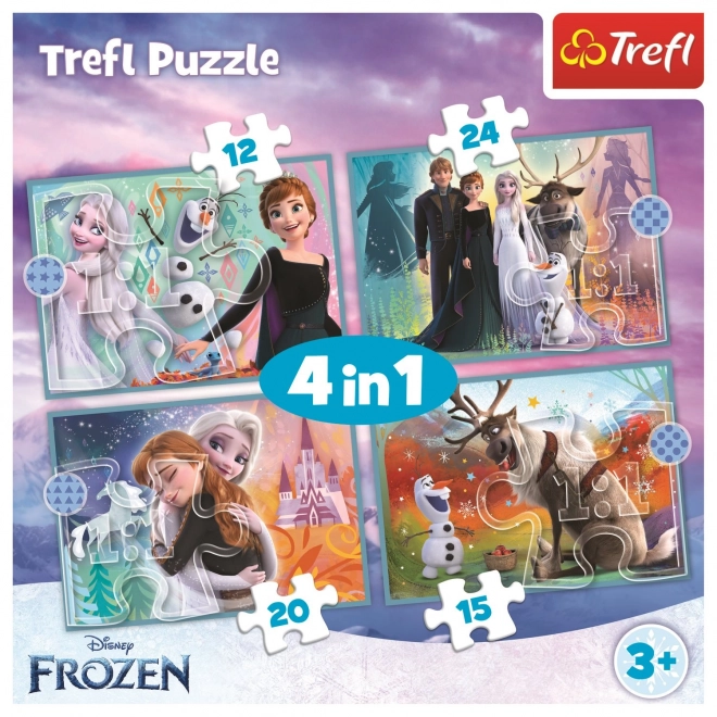 Frozen Amazing World Puzzle Set