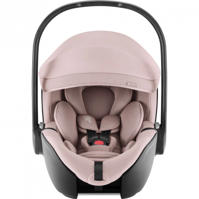 Set stroller Smile 5z with carrycot and car seat Baby-Safe Pro Style dusty rose