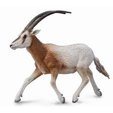 CollectA Scimitar Oryx Figure