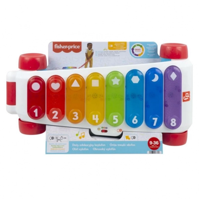 Large Educational Xylophone Pull-along Toy