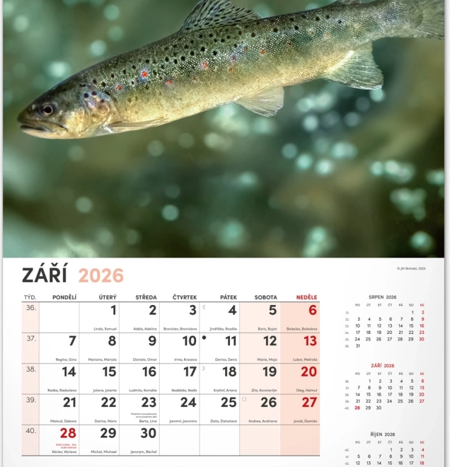 Calendrier mural de pêche 2026