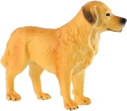 Dimensione compatta 10 cm
