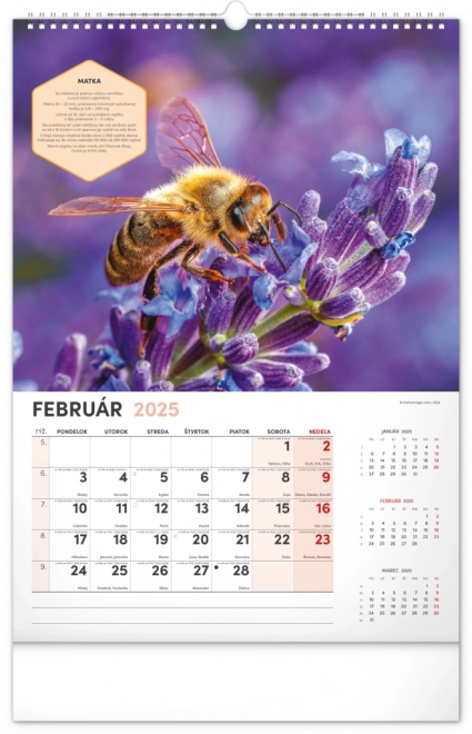 Wall Beekeeper Calendar 2025