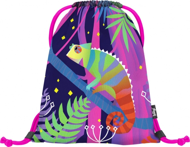 Chameleon Drawstring Bag by Baagl