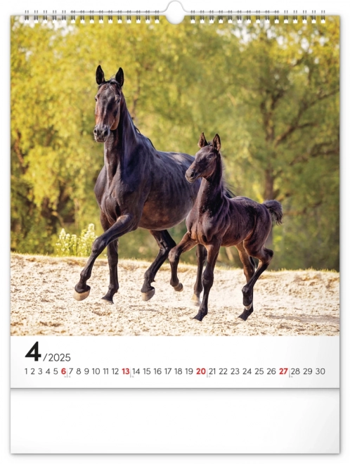 Wall Calendar Horses 2025